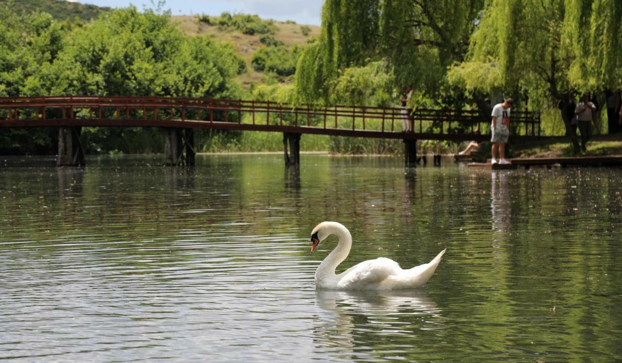 British Hotel Pogradec Esterno foto